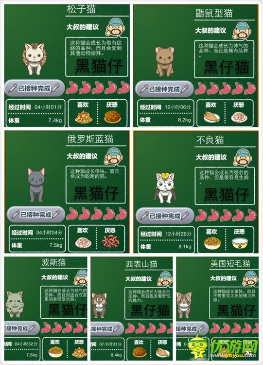 猫咖啡店猫咪图鉴资料