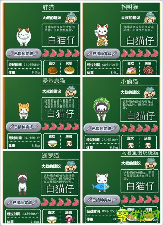 猫咖啡店猫咪图鉴资料