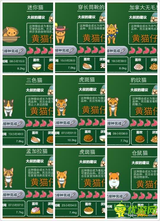 猫咖啡店猫咪图鉴资料