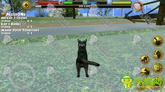流浪猫模拟器怎么玩 流浪猫模拟器新手攻略