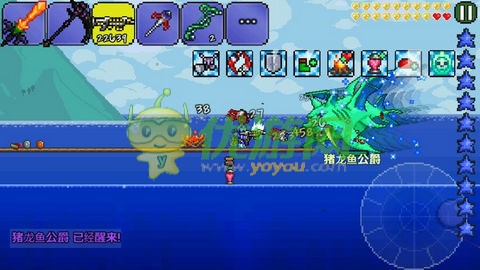 泰拉瑞亚terraria1.2.4新版boss猪龙鱼公爵怎么打