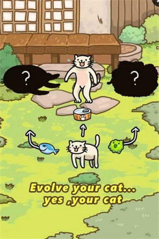 猫的进化世界游戏截图
