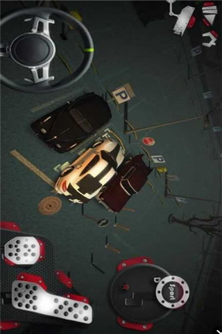真實泊車截圖欣賞
