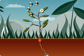 模拟植物生长攻略分享