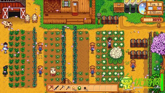 星露谷物语stardewvalley大菜花怎么摘