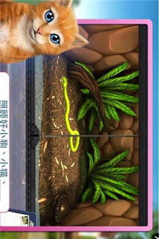 寵物世界3D：我的動(dòng)物救援所截圖欣賞