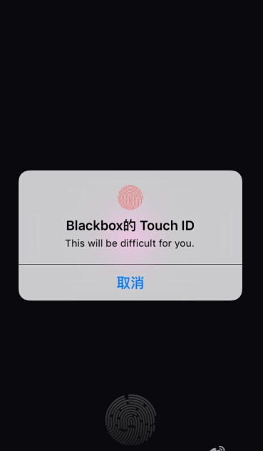 黑盒blackbox桃红色怎么玩 黑盒blackbox桃红色攻略