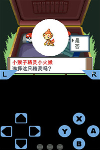 口袋妖怪白金光截圖欣賞