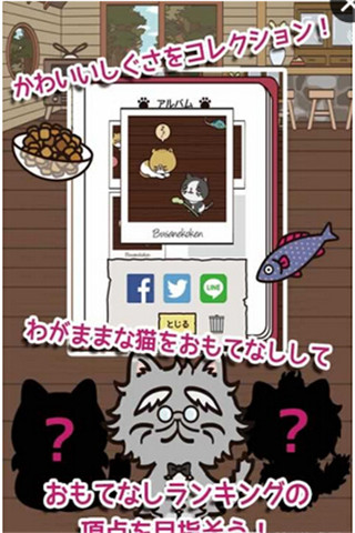 忙碌貓咪店截圖欣賞