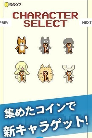柴犬太郎跳躍2截圖欣賞
