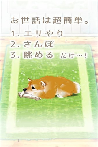 治愈系柴犬育成截圖欣賞