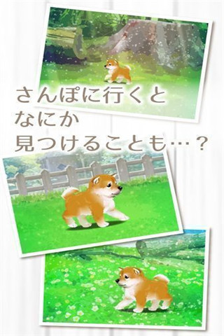 治愈系柴犬育成截圖欣賞