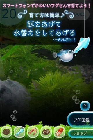 我的河豚水族館截圖欣賞
