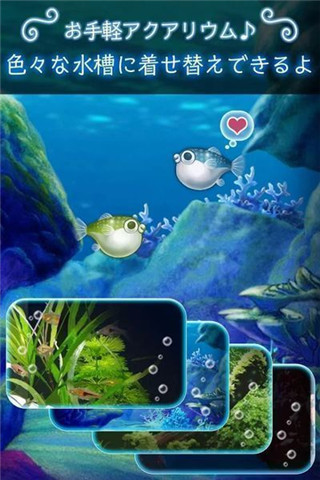 我的河豚水族館截圖欣賞