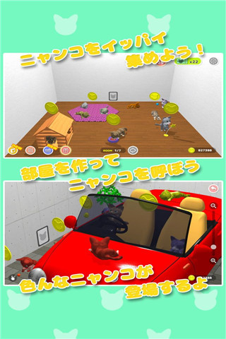 貓咪收藏截圖欣賞