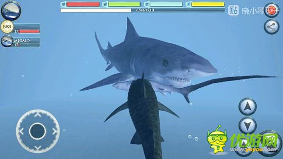 终极鲨鱼模拟器大白鲨boss位置详解