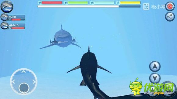 终极鲨鱼模拟器大白鲨boss位置详解