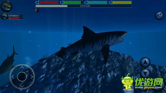 终极鲨鱼模拟器虎鲨详解