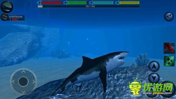 终极鲨鱼模拟器大白鲨详解