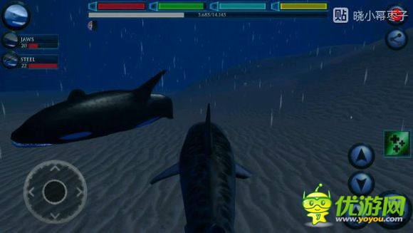 终极鲨鱼模拟器虎鲸详解
