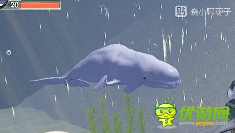 终极鲨鱼模拟器白鲸详解
