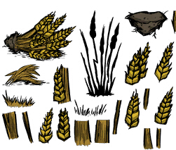 饥荒联机版小麦种植详解