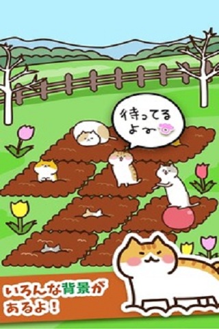 猫咪田园安卓版游戏截图