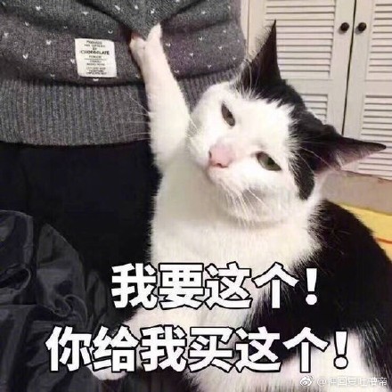 我要买这个猫表情包