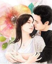 医生挚爱傅少苦追妻小说全文章节介绍_医生挚