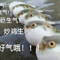 河豚好气哦表情包