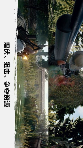 絕地吃雞手游下載截圖欣賞