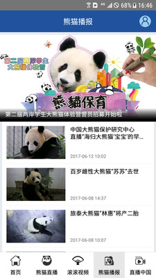 熊貓頻道