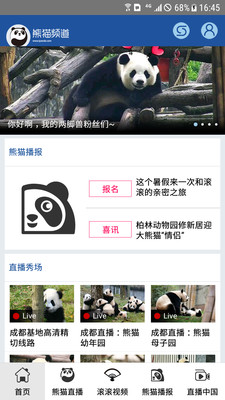 熊貓頻道