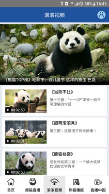 熊貓頻道
