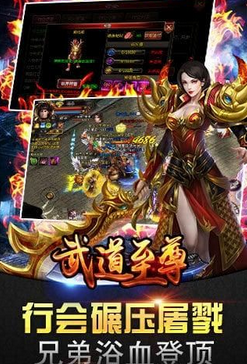 武道至尊公益服下載