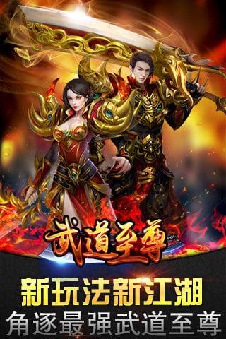 武道至尊公益服下載截圖欣賞
