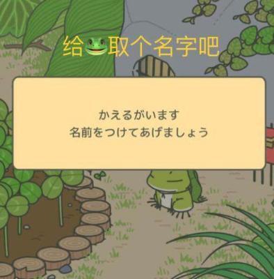 旅行蛤蟆中文版