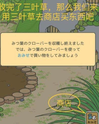 旅行蛤蟆中文版