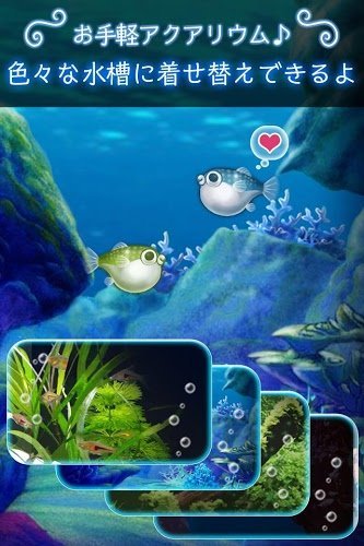 我的河豚鱼水族馆官方版下载游戏截图