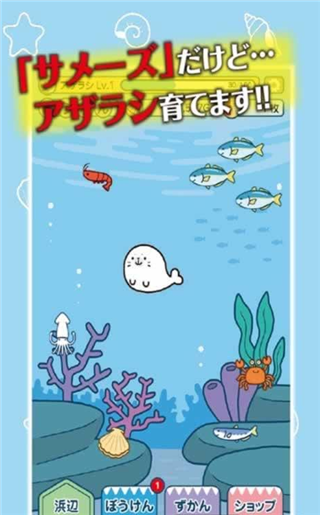 海豹養(yǎng)成手游下載(サメーズ)截圖欣賞
