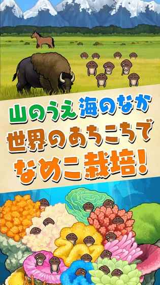 滑子菇栽培套裝The World漢化版下載截圖欣賞