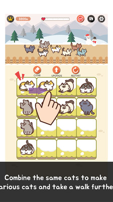 吸貓2048手游下載截圖欣賞