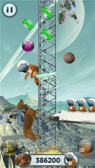 野蠻臘腸犬手游下載截圖欣賞