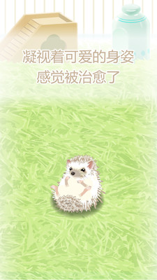 治愈的猬育成游戲手游下載截圖欣賞