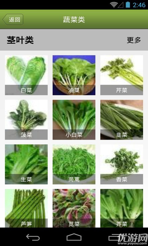 菜怎么做app下載截圖欣賞