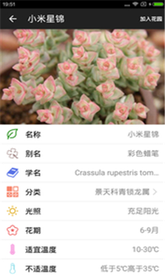 愛花草