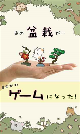 貓咪盆栽漢化版