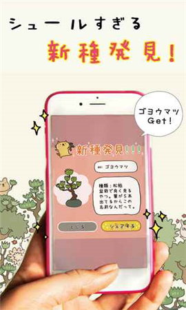 貓咪盆栽漢化版截圖欣賞