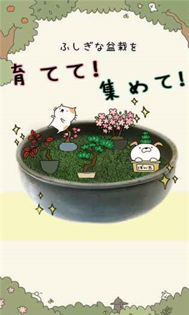 貓咪盆栽漢化版截圖欣賞