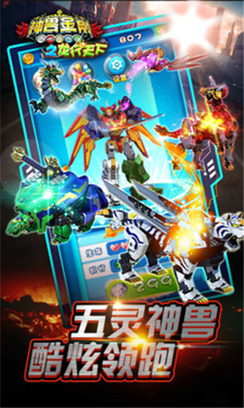 神獸金剛之龍行天下